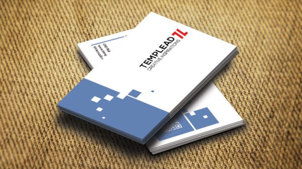 Modern Elegance Business Card 2