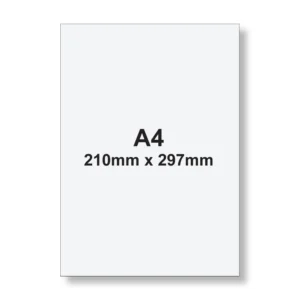 A4 (210mm x 297mm)